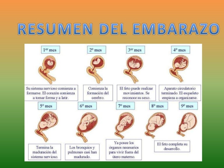 Semanas bebe como mi esta de 5